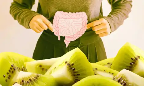 Benefits of Kiwi Fruit Powder in Digestive Products
